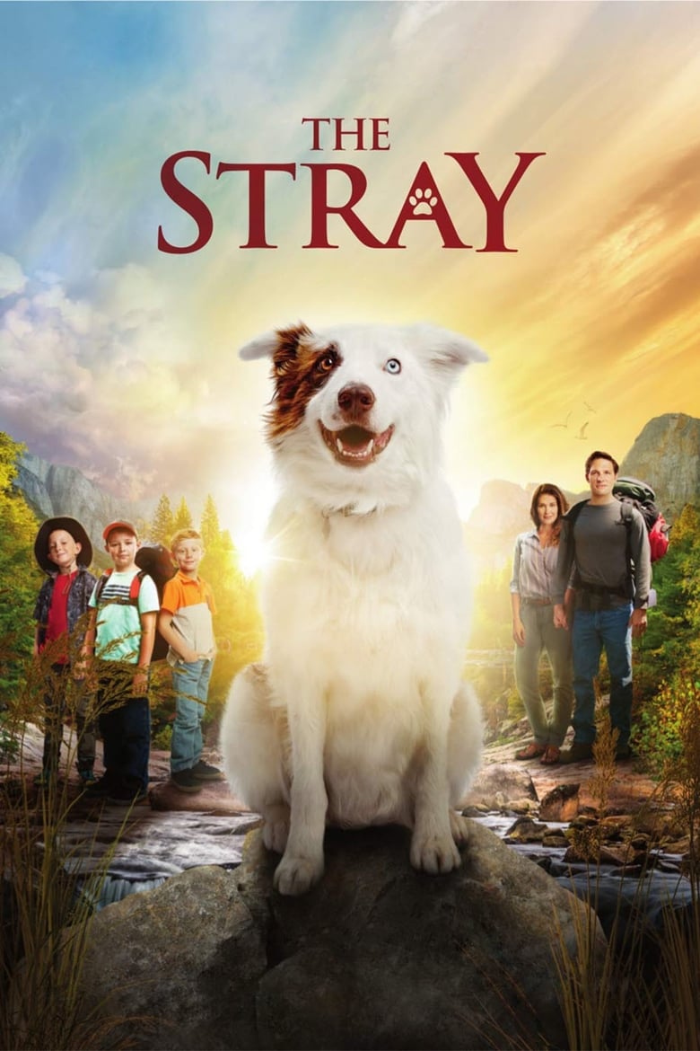 The Stray (2017)