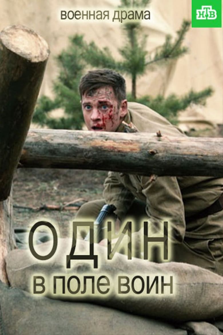 Один в поле воин (2018)