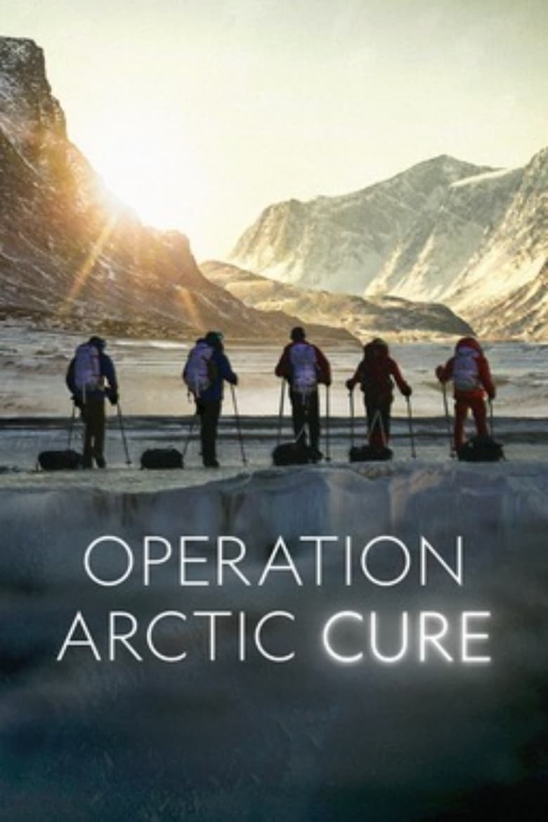 Operation Arctic Cure (2024)