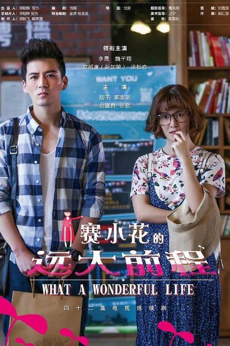 赛小花的远大前程 (2017)