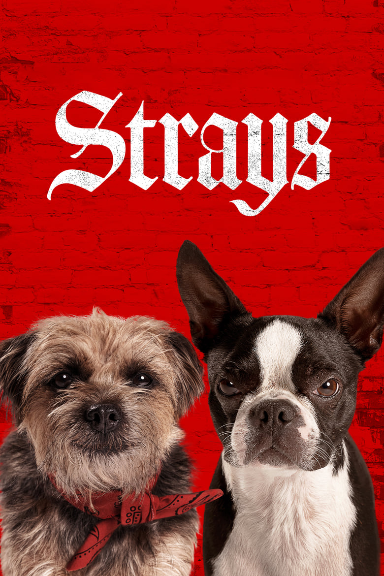 Strays (2023)