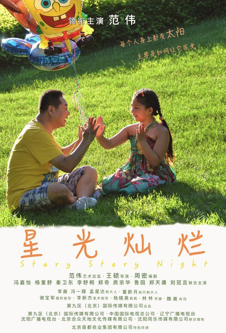 星光灿烂 (2017)