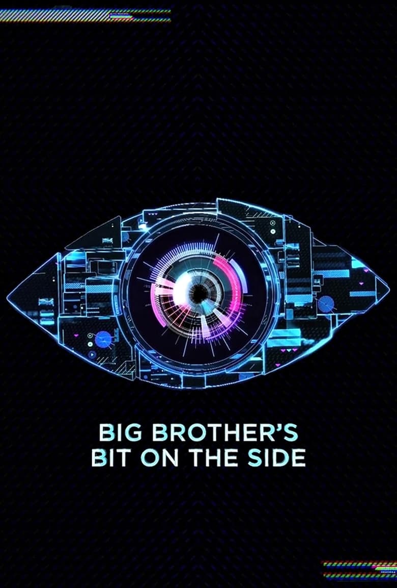 Big Brother’s Bit on the Side (2011)