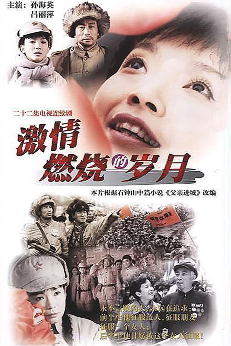 激情燃烧的岁月 (2001)