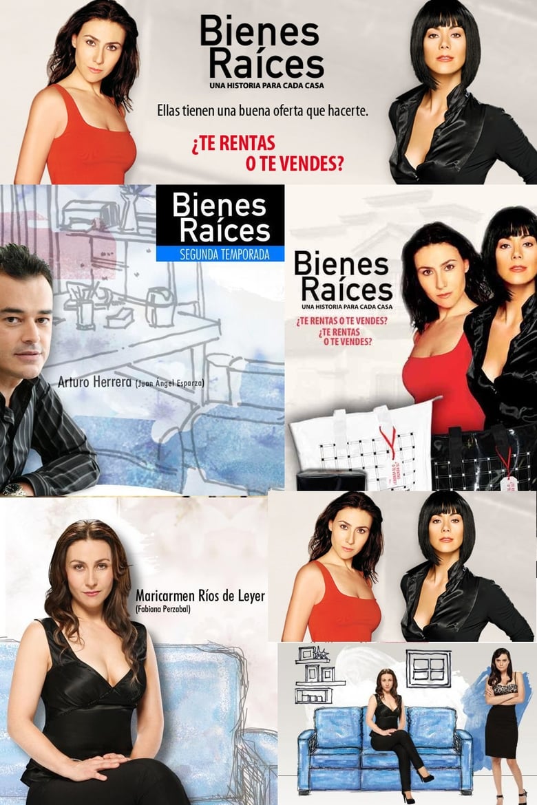 Bienes raíces (2010)