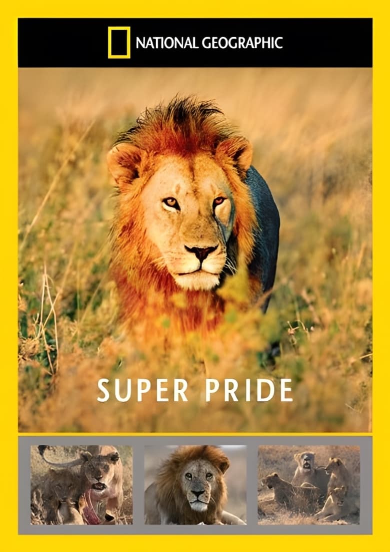 Superpride (2008)