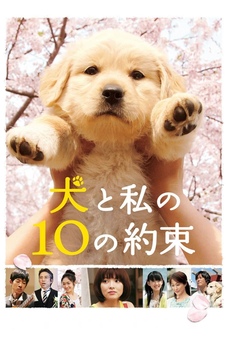 10 Promises to My Dog (2008)