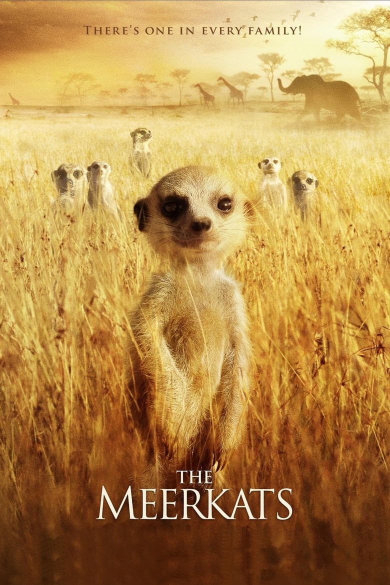 The Meerkats (2008)