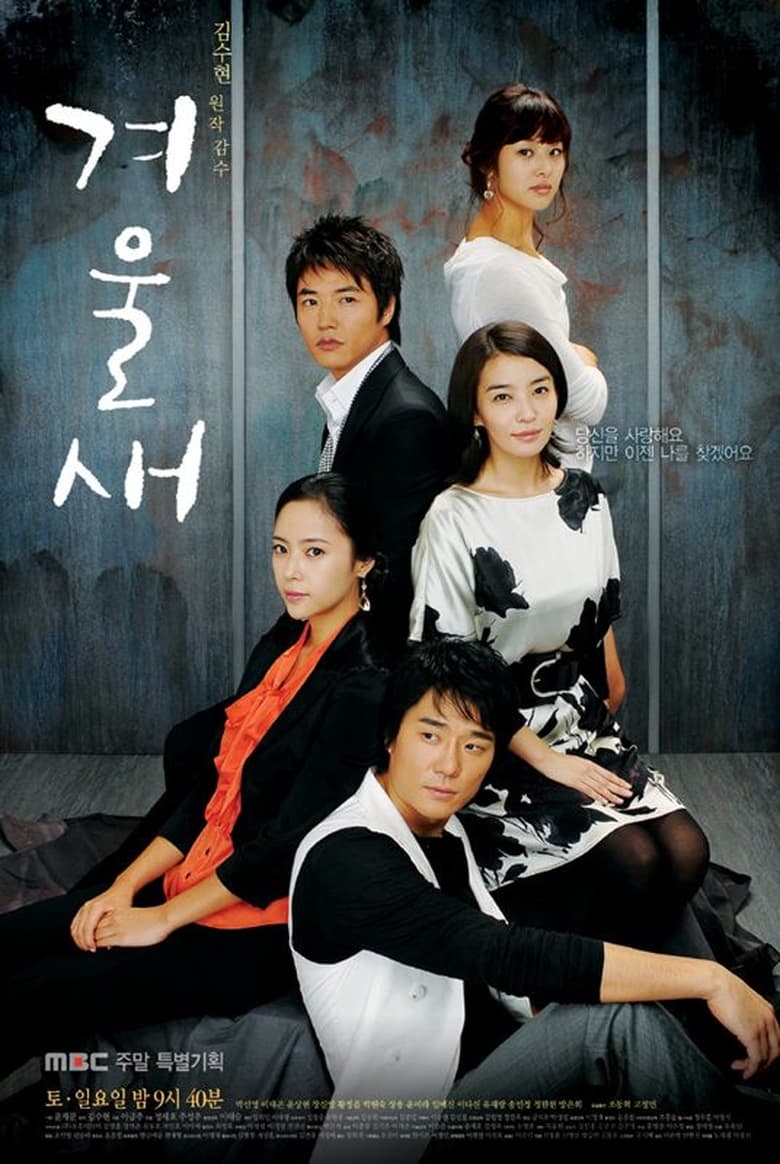 겨울새 (2007)