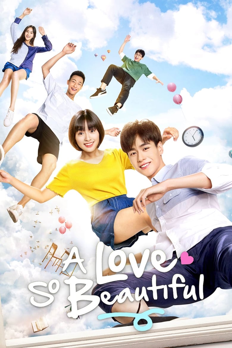 A Love So Beautiful (2017)