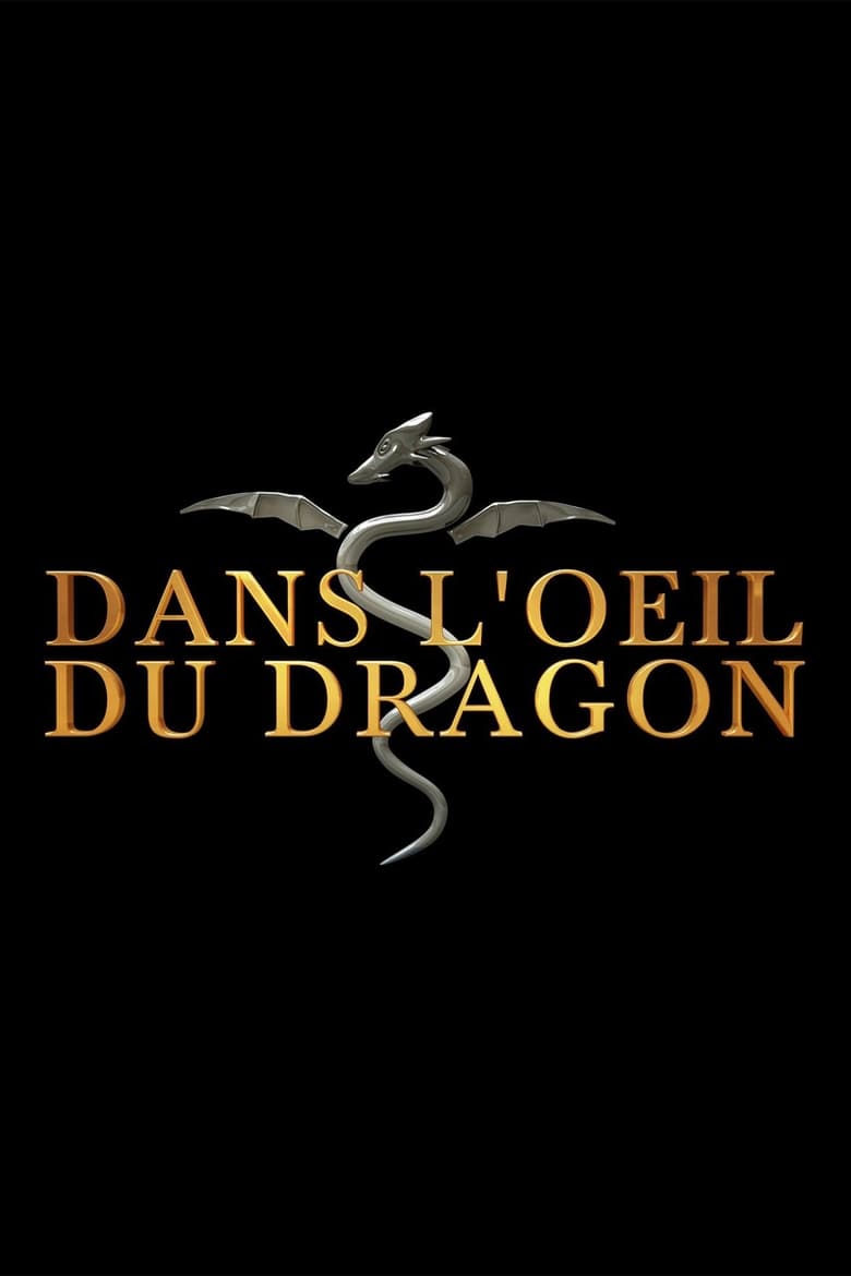 Dans l’oeil du dragon (2012)