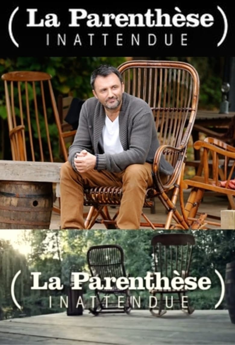 La Parenthèse inattendue (2012)