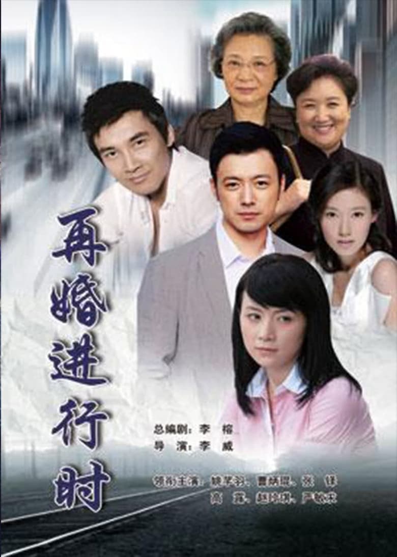 再婚进行时 (2011)