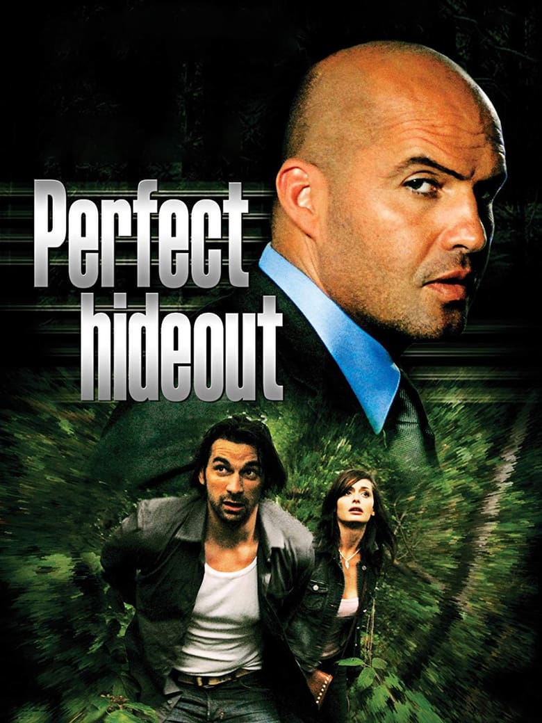 Perfect Hideout (2008)