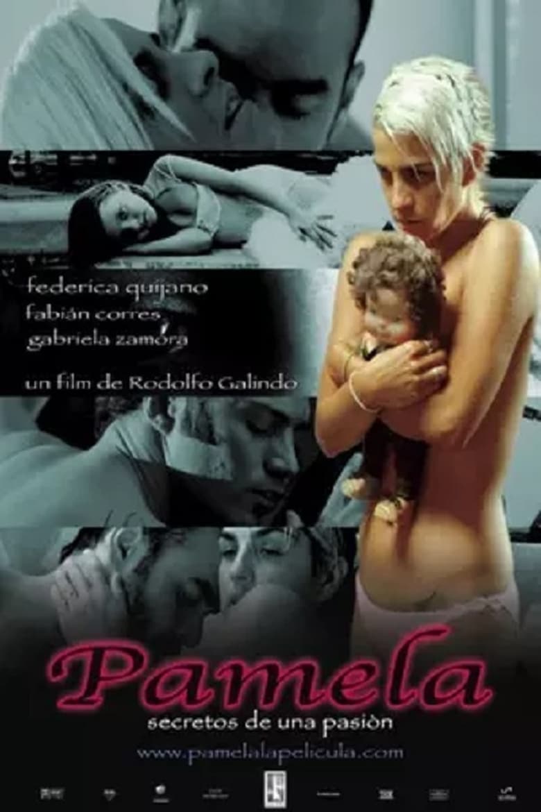 Pamela: secretos de una pasión (2008)