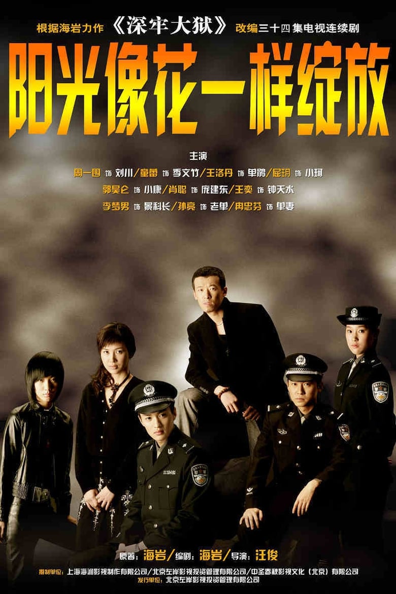 阳光像花一样绽放 (2006)